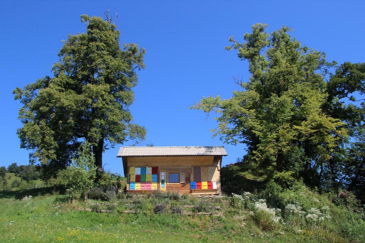 238 Spodnje Gorje Apartamento Exterior foto